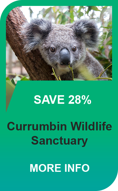 Currumbin Wildlife Sanctuary