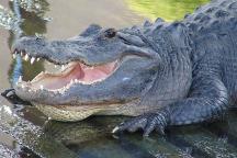 WonderWorks Building